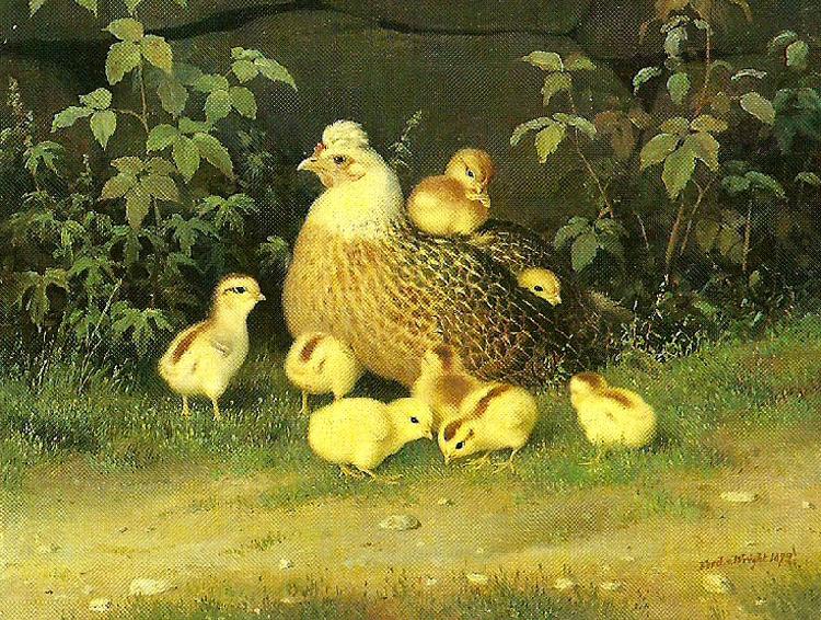 broderna von wrights hona med kycklingar oil painting image